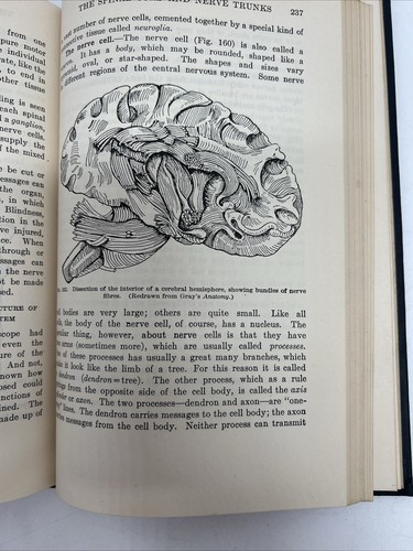 The Human Body And It's Functions by Best and Taylor HC Special Edition - Picture 15 of 19