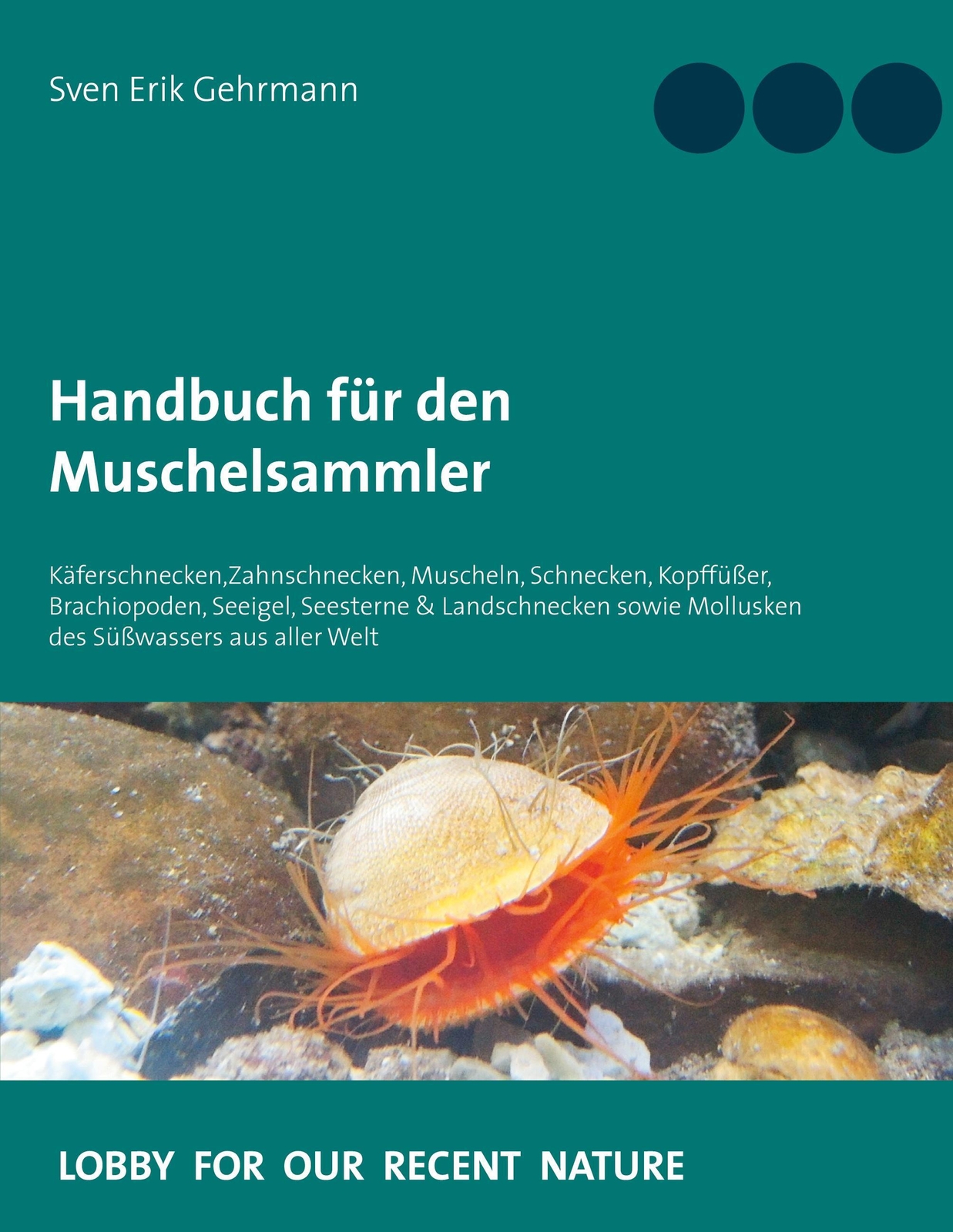 Thumbnail - Handbuch Für Den Muschelsammler Sven Erik Gehrmann Taschenbuch