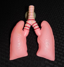 Vintage Pfizer Educational Interactive Pump Expanding Lungs Display Model Works