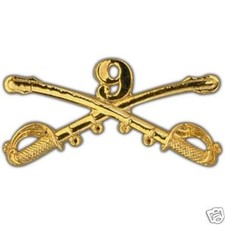 9th CAVALRY SABER HAT PIN BADGE US ARMY CAV UNION VIETNAM Buffalo Soldiers WOW
