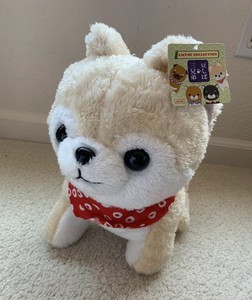 amuse collection shiba