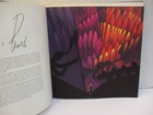 Picture 5 of 7