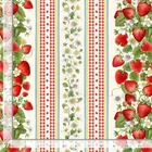 Strawberry Fruit Stripe Fabric By The Yard Cotton Timeless Treasures CD3401