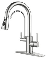 FORIOUS Kitchen Faucets with Water Filter 2 in 1 Stainless