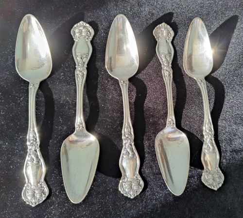 5 Wm Rogers & Son Silverplate~Grapefruit Spoons~Orange Blossom~c1910~No Mono