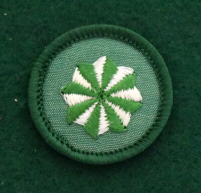 GIRL SCOUT BADGE - PLASIC BACK - ACTIVE CITIZEN - FREE SHIPPING