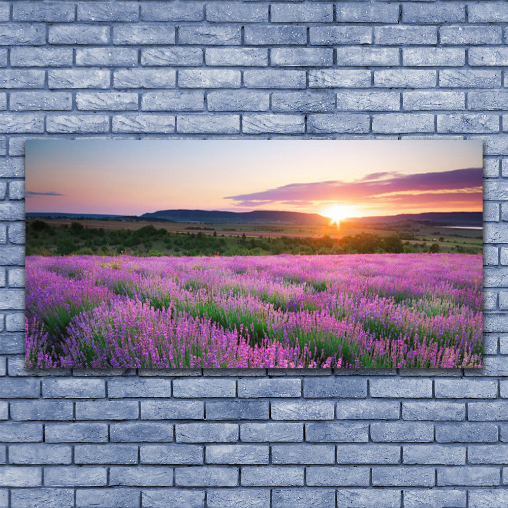 Tableau plexiglas 140x70 cm impression HD motif prairie fleurs et soleil
