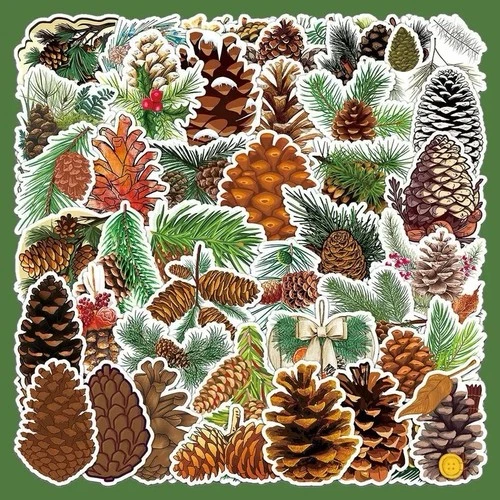 16Pcs Pine Cone Stickers Waterproof Vinyl Decals for Water Bottles Laptop