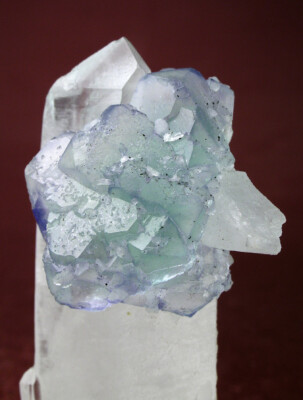 GRACEFUL MULTICOLOR FLUORITE CRYSTALS w QUARTZ, YINDU MINE CHINA GLOBE MINERALS