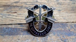 Vietnam War vintage US Army Special Forces uniform DI insignia pin V-21 Vanguard