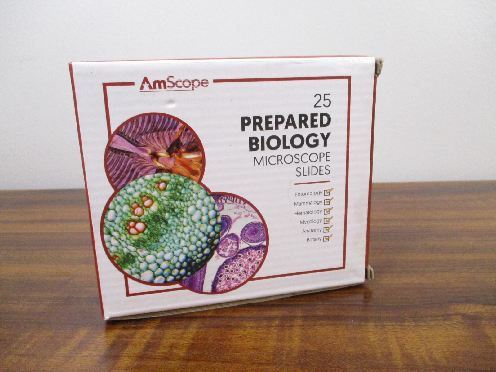 AmScope 25 Prepared Microscope Slides Glass with Wooden Box PS25W NEW