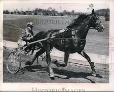 1939 Press Photo Trotter " rapid an slated to win the Hambletonian - nes12162