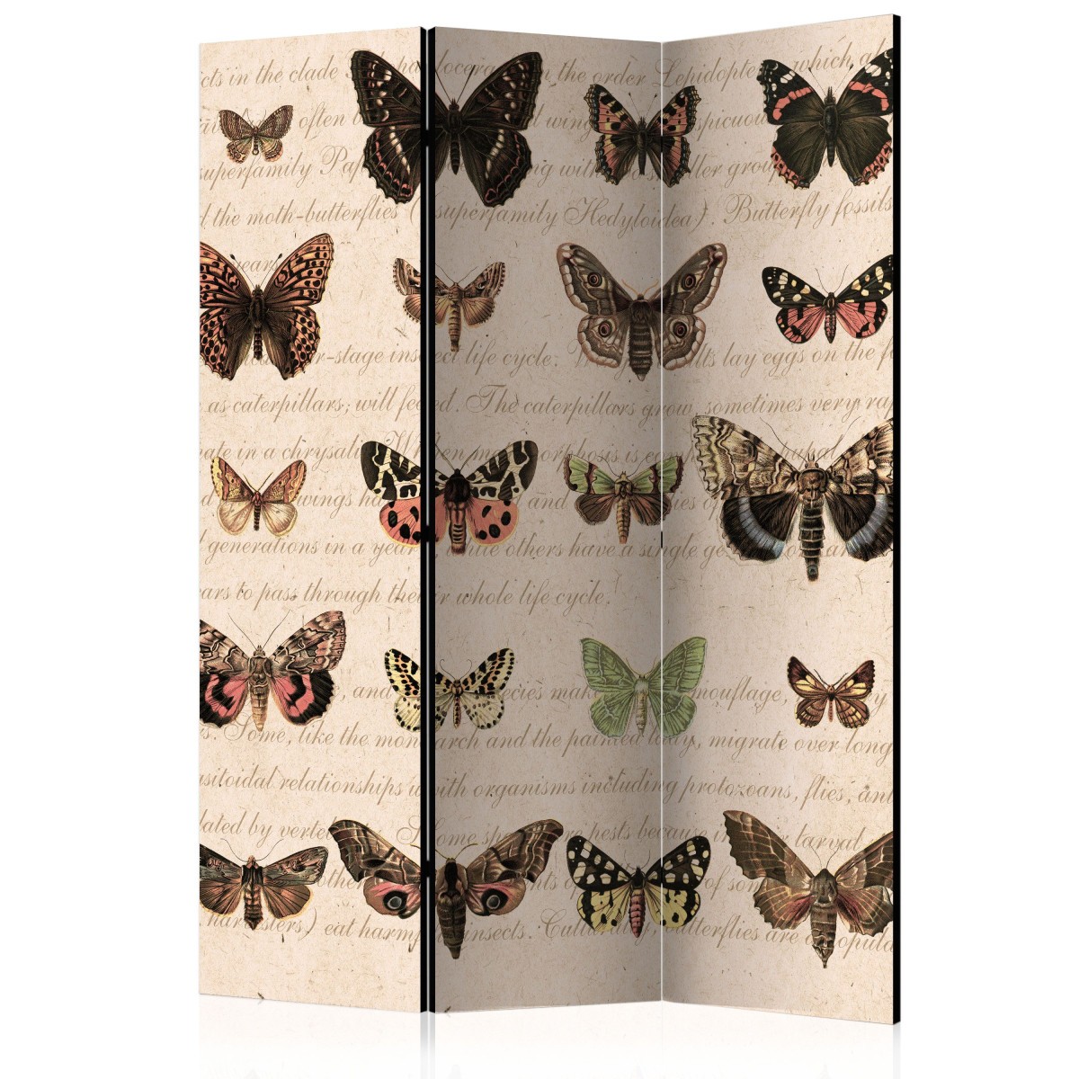 Paravent 3 volets style retro grand separateur de piece papillon de dimensions 135x172cm