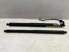 16 17 18 Lincoln MKX Rear Trunk Lid Shock Strut Liftgate Motor Set 1590 OEM