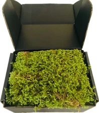 Log Sheet Feather Fresh Live Log Moss