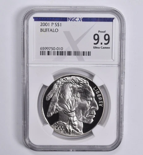 Proof 9.9 2001-P Buffalo Commemorative Dollar NGC X NGCX *0272