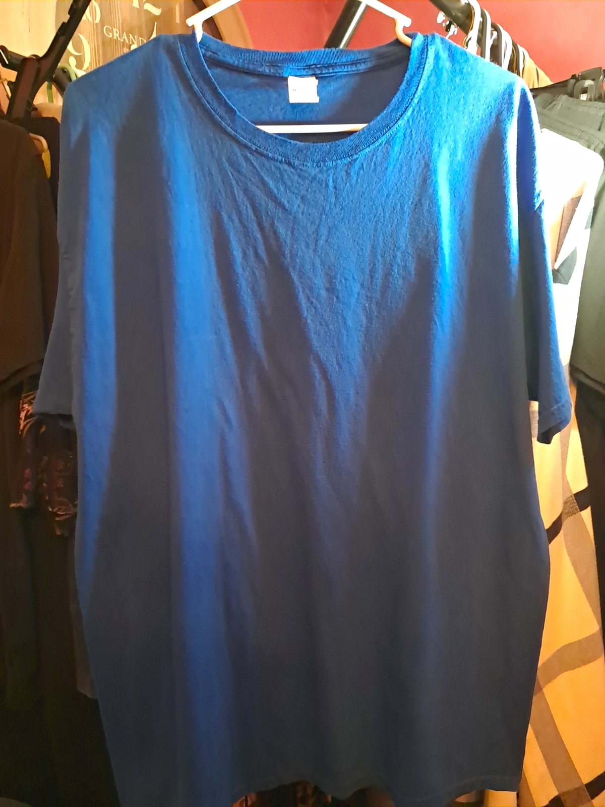 Fruit of the Loom Men's Blue Solid Crew Neck Short Sleeve Cotton Jersey Tee L