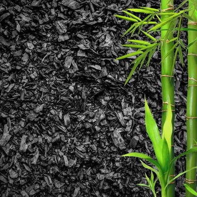 GARDENWISE Horticultural Charcoal for Plants   Organic Bio Char Soil Amendmen...