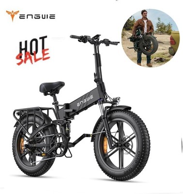 ENGWE Pro 2.0 Elektrofahrrad 750W 48V16AH20*4,0-Zoll Fat Tire All Terrain E-Bike