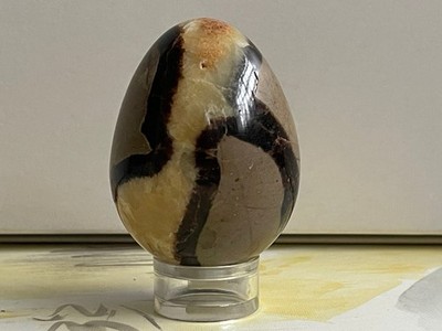 Septarie - Mineral Ei - Sammlerei - Poliert -Madagaskar