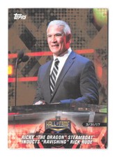 2018 Topps WWE Road To Wrestlemania Ricky 