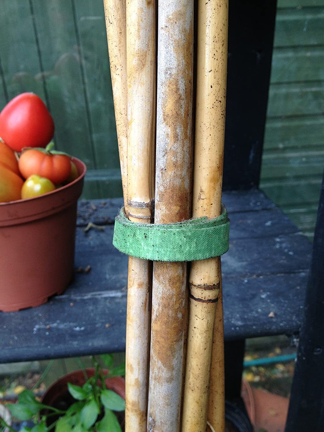5Pcs Adjustable Hook Loop Garden Tree Ties Durable Nylon Wrap Tape