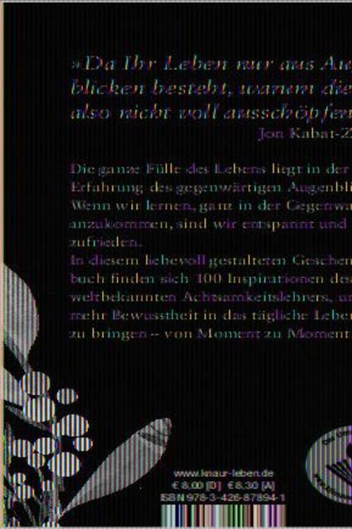 Thumbnail - Jeder Augenblick Kann Dein Lehrer Sein | Jon Kabat-zinn | Taschenbuch