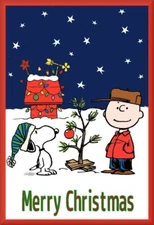 Charlie Brown & Snoopy Christmas Tree Toolbox / Refrigerator Magnet, 42 MIL