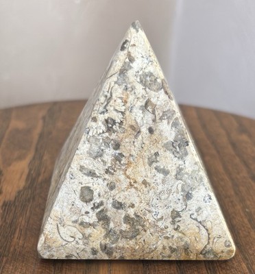HEAVY Fossil Stone Pyramid Natural Stone 3.5 X 3  *small bottom chip -see pics