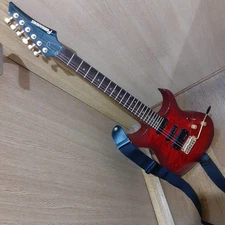 Fernandes electric guitar & soft case & shoulder strap