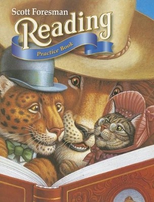 READING 2000 PRACTICE BOOK WITH SELECTION TESTS GRADE 3.2 By Scott Foresman *VG*