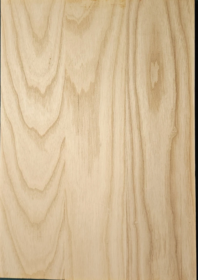 3 Pcs Swamp Ash Guitar Body Blank 21" x 14" x 1.3/4"- Un-Glued Luthierwood 14lb - Image 4 of 4