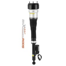 Rear Air Shock Strut Assembly Passenger Side ...