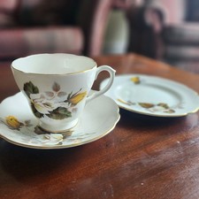  Harleigh Bone China Cup Saucer & Side Plate Set Made In England Floral Design