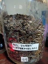 All Sweet Watermelon 1 Oz Seed