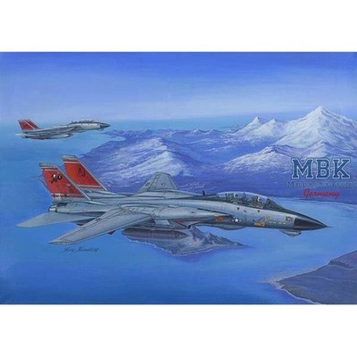 HOBBY BOSS HB80368 F-14D Super Tomcat