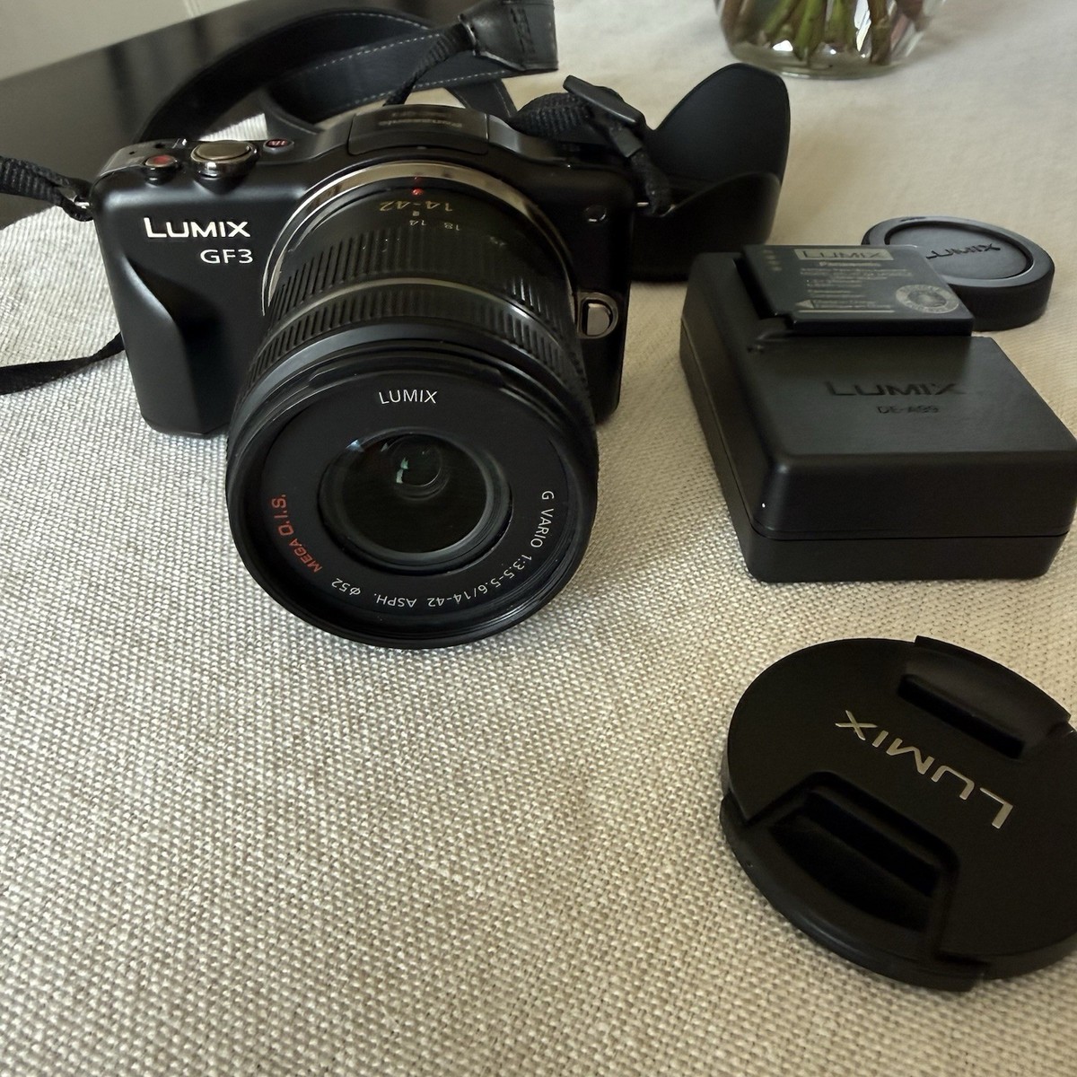 Panasonic Lumix DMC-GF3 Digital Camera w/ 14-42mm Lens Bundle