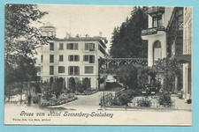  Seelisberg Hotel Sonnenberg (Vierwaldstättersee) ungel.1904