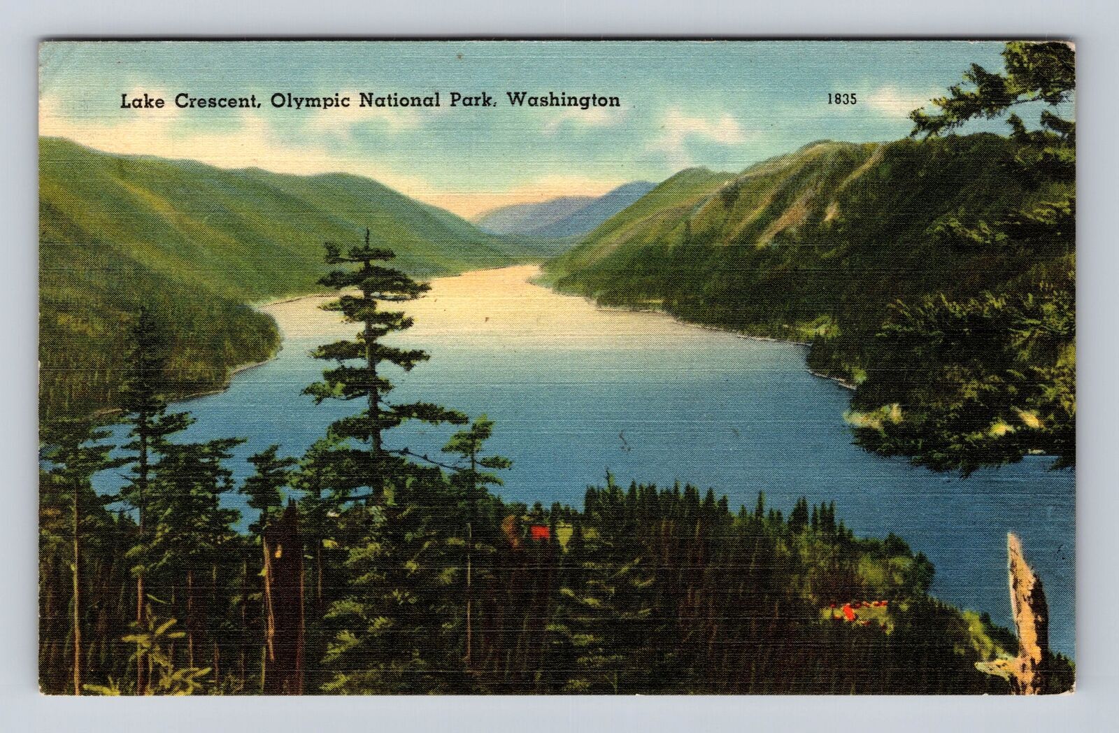 Vintage 1948 Olympic National Park Lake Crescent Souvenir Postcard