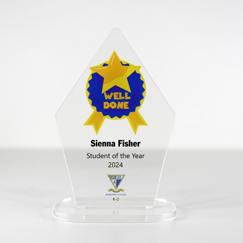 ACRYLIC COLOUR TROPHY AWARD CUSTOM DESIGNED FOR ACADEMIC, SCHOOL, STUDENT - Picture 3 of 3