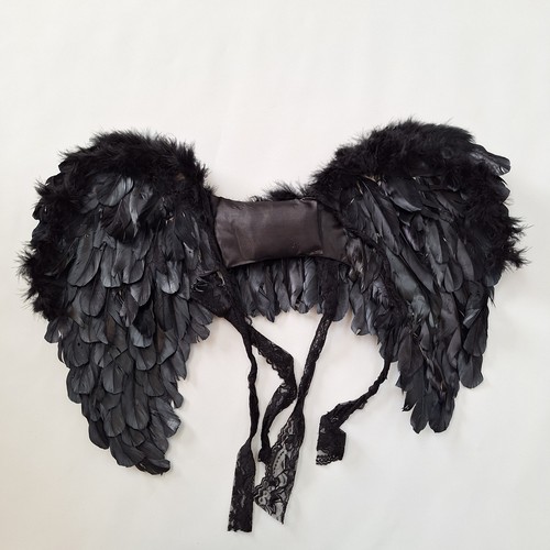 Black Feather Goth Fairy Angel Wings Halloween Costume Party Adult 16 x 24 Boa