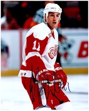 Detroit Red Wings MATHIEU DANDENAULT Signed Autographed 8x10 Pic C
