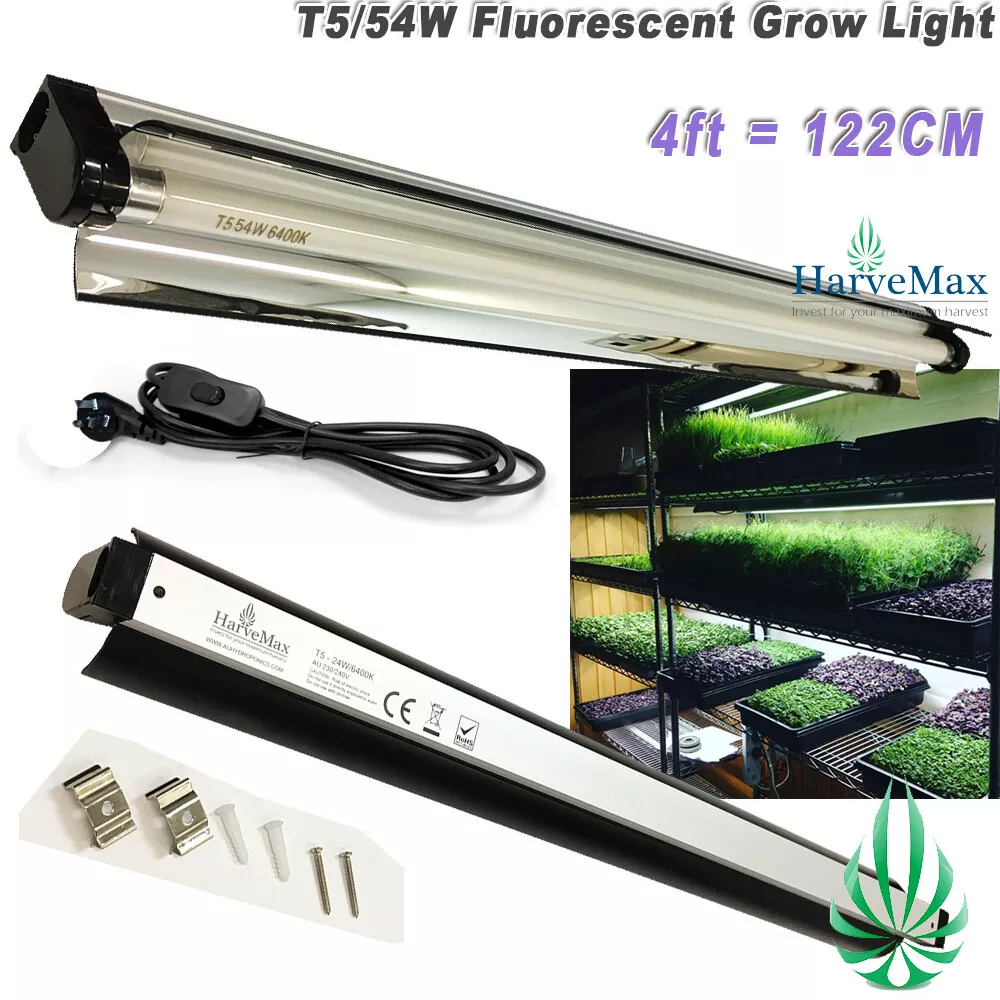 T5 6400k bulb deals