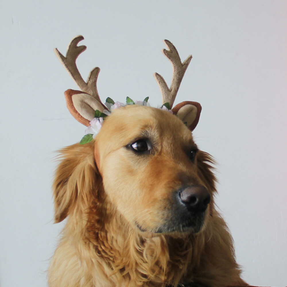 Amosfun Weihnachtsmütze Mit Geweih Für Hunde & Katzen – Niedliches Elch-Kostüm Für Weihnachtsfotos