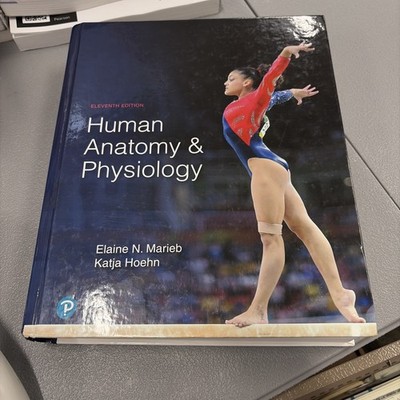 Human Anatomy and Physiology by Elaine Marieb and Katja Hoehn (11e)