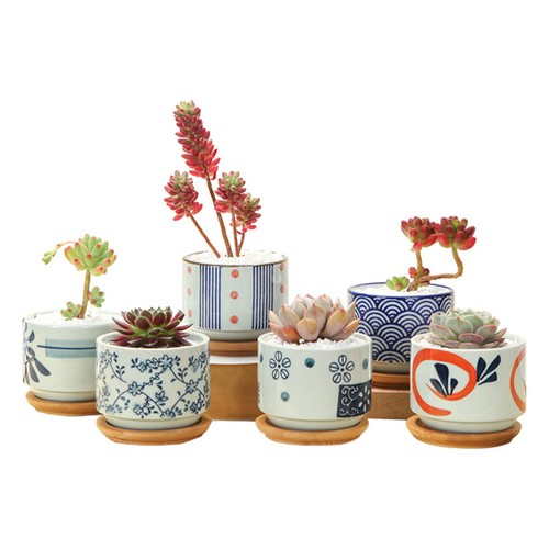 Ceramic Succulent Planter with Clear Hand Painting and Bamboo Tray for Home - Picture 9 of 12