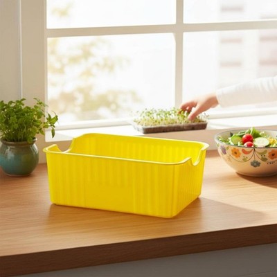 Bean Sprout Grower Box Two-Layer Design Soilless Sprouter for Pet Owners