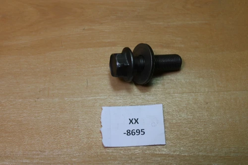 BOLT (12X60)