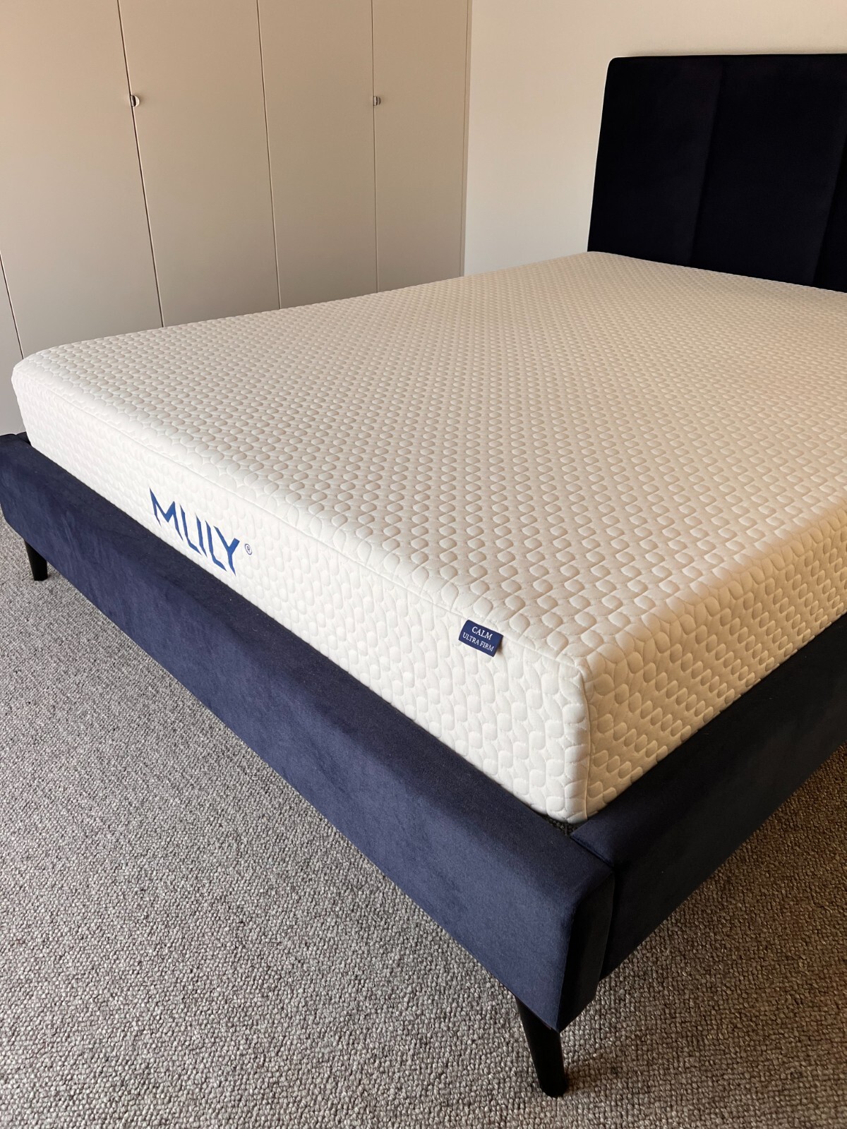 Forty Winks Queen bed with Mlily firm mattress eBay