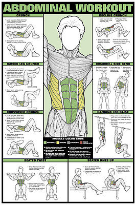 Gym Wall Chart